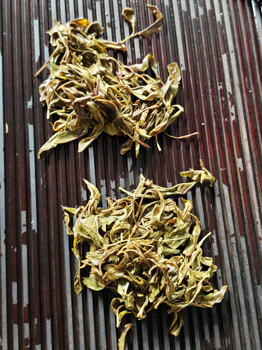 Two small piles of wet Pu-erh tea leaves compared side by side on a dark tea tray